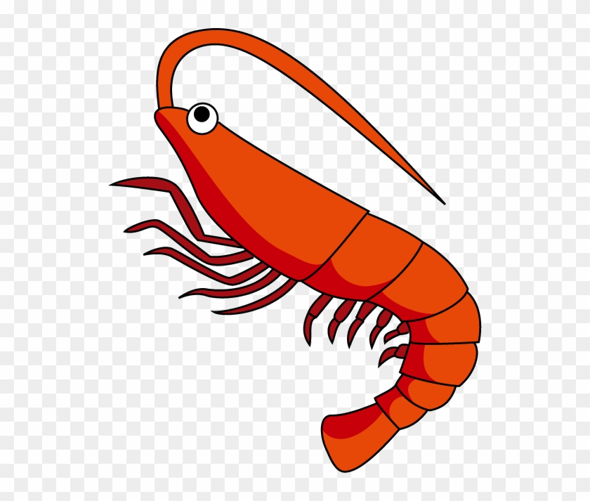 Shrimp Clipart The Cliparts - Shrimp Clip Art #48545