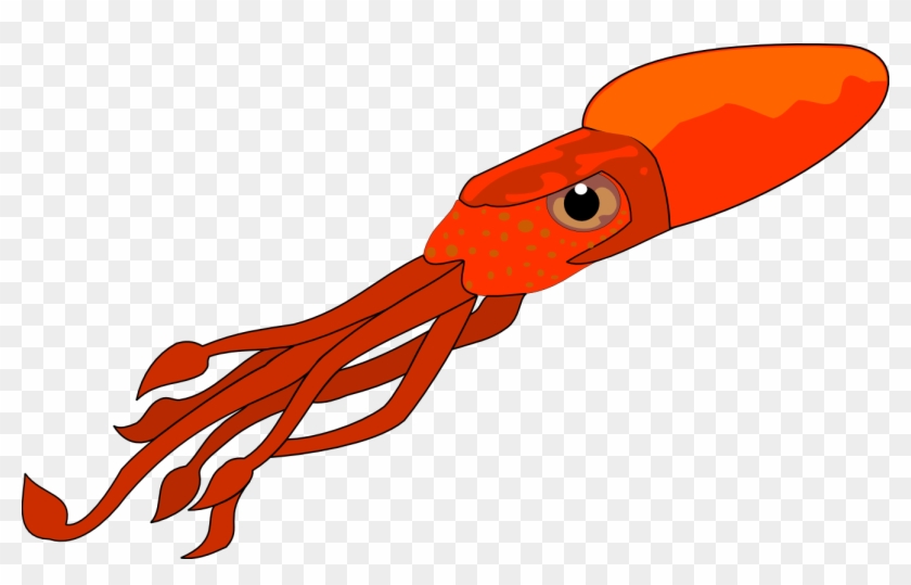 Squid Clip Art - Squid Clipart Png #48593