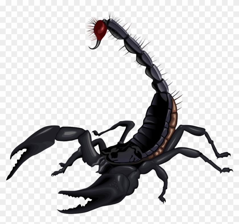 Scorpion Clip Art Hostted Wikiclipart - Most Dangerous Animal In India #48599