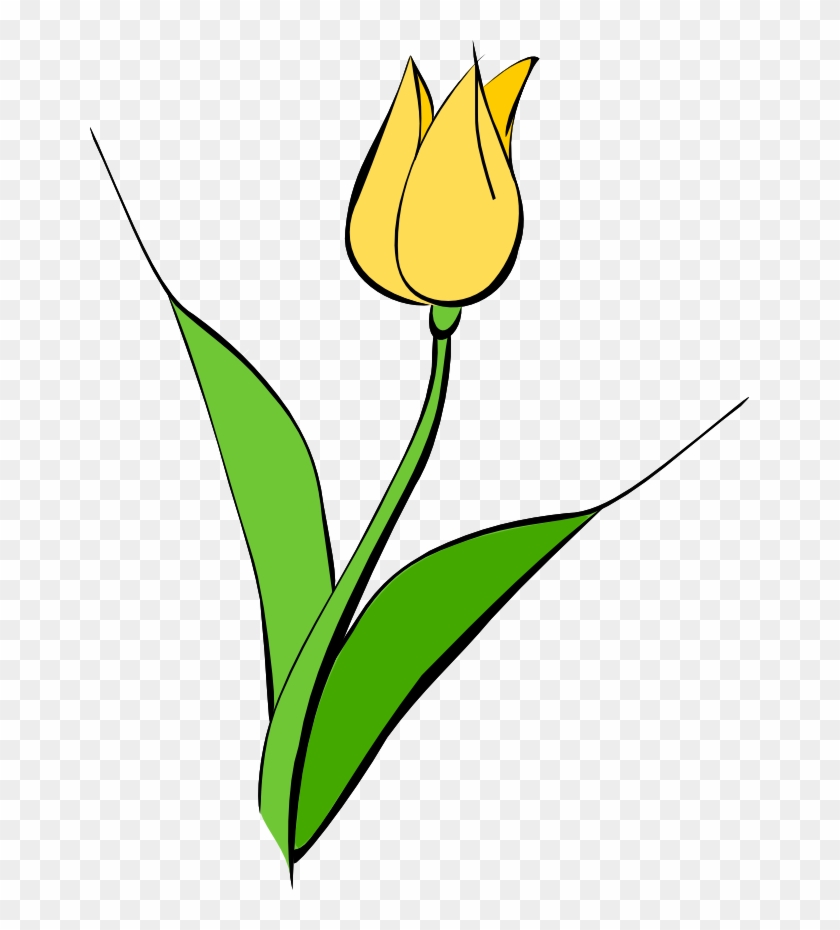 Spring - Clip Art Yellow Tulip #48745