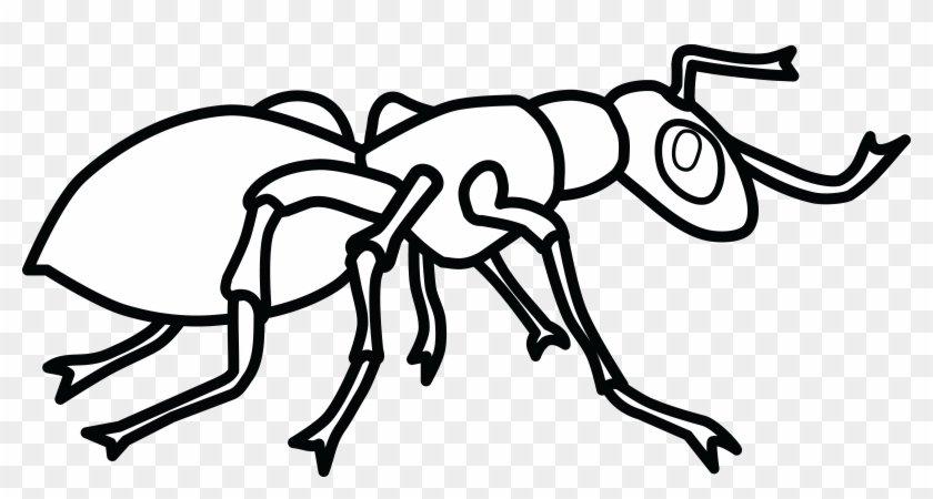 Free Clipart Of An Ant - Clip Art Black And White Ant #48779