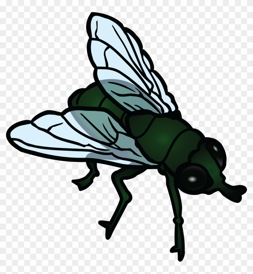 Free Clipart Of A Fly - Fly Clipart #48847