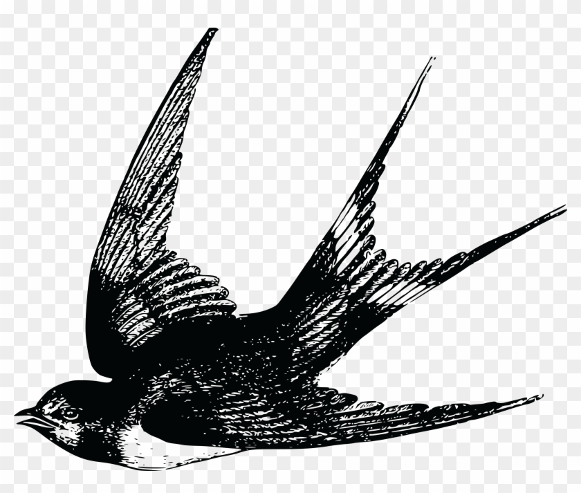 Free Clipart Of A Swallow - Swallow Tattoo Vintage #48925