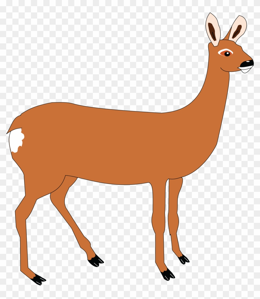 Free Clipart Of A Doe Deer - Doe Clipart #48977