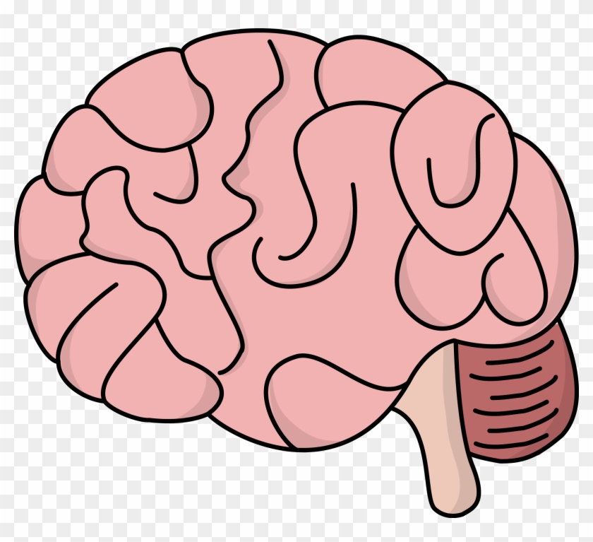 Clipart Of Brain Clip Art Of Brain Clipart - Drawing Of Cartoon Brain #49380