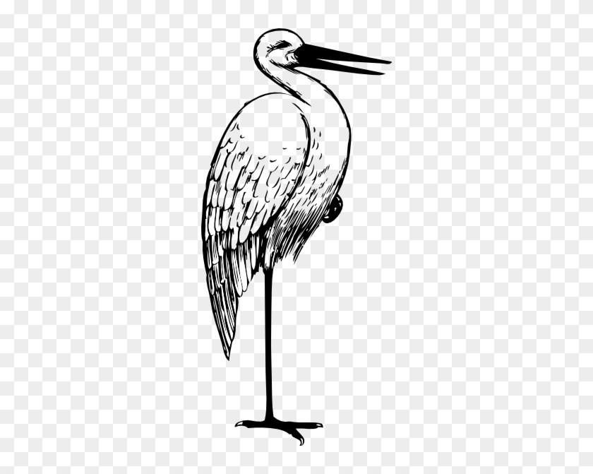 Stork Clipart #49447