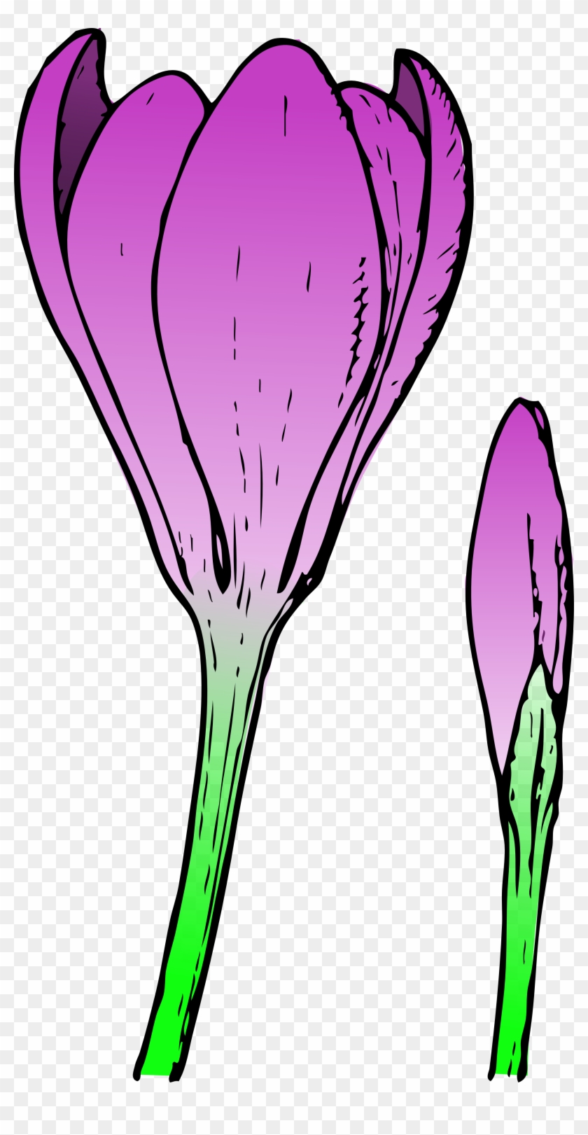 Vacant Clipart Hr Shenanigans Clipart - Crocus Flower #49478