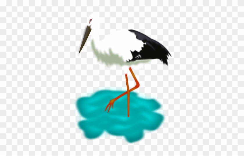 White Stork #49482