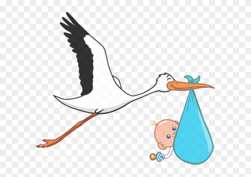 Download - Stork Baby Transparent Background #49578