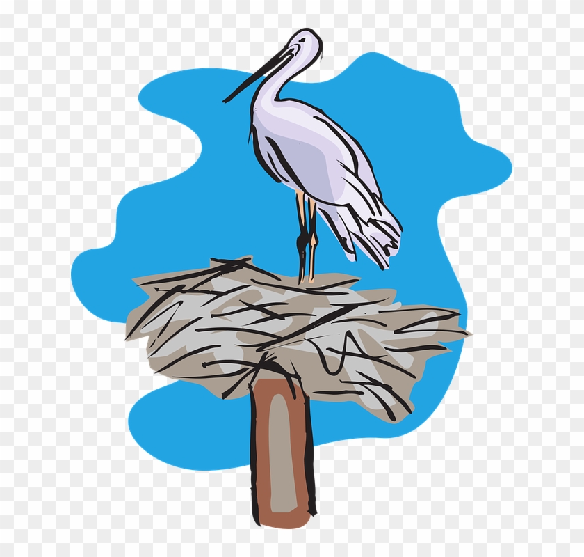 Stork Nest Vector #49585