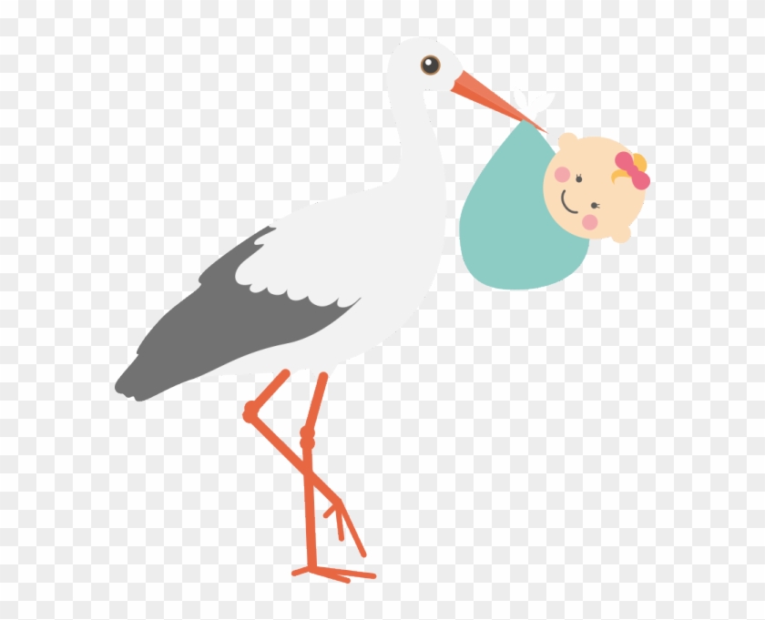 Gestational Surrogacy - Seabird #49608