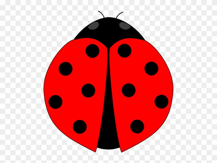 Ladybug PNG Image, Ladybug, Bug Clipart, Bug PNG Image For Free Download