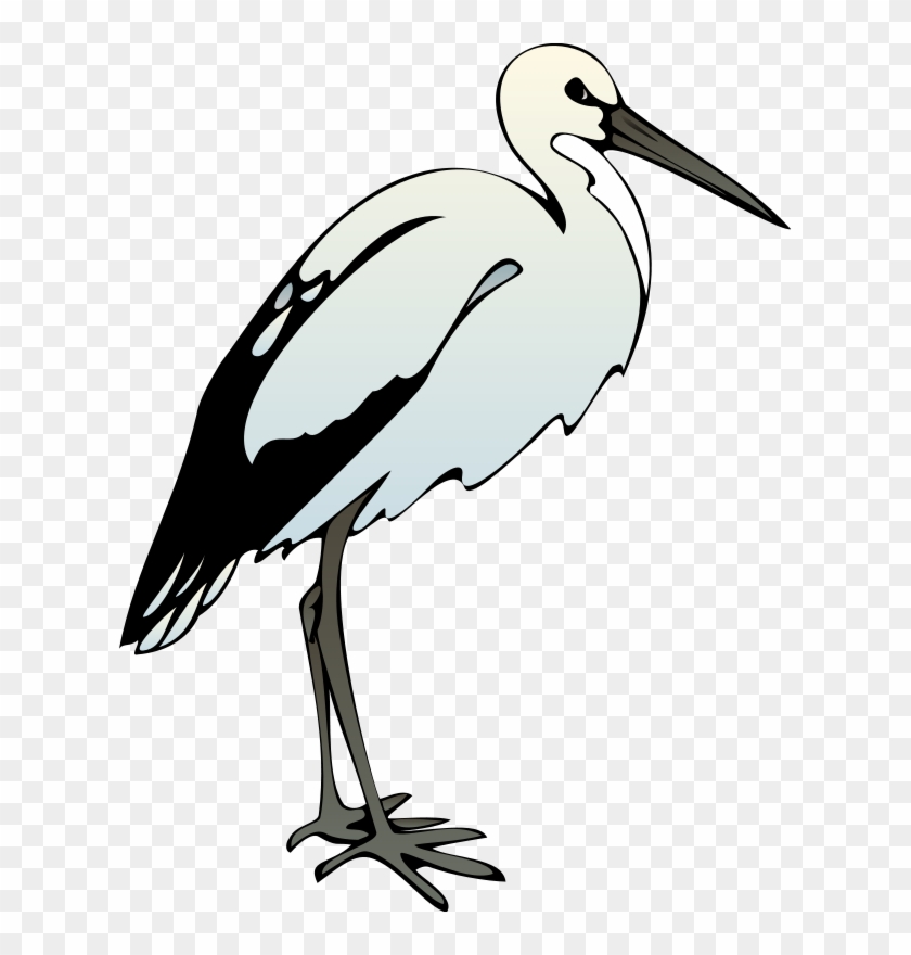 Ibis Bird Clip Art #49650