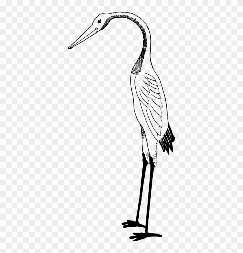 Clip Art Tags - Stork Clipart Black And White #49663
