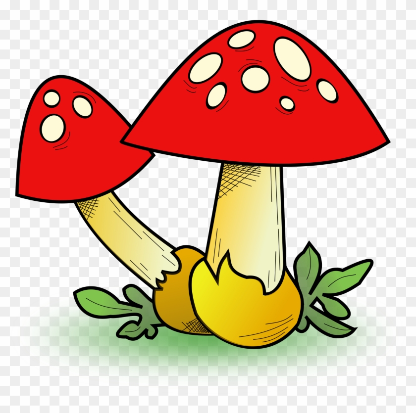 Big Image - Cute Mushrooms Yard Sign #49744