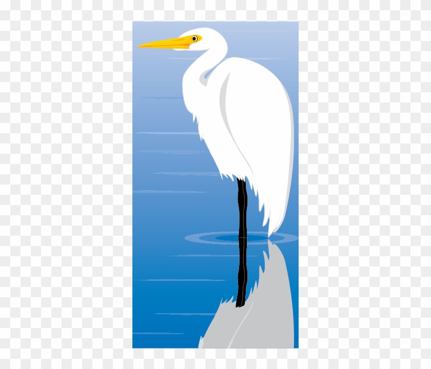 Egret Bird Illustration - Great Egret #49824