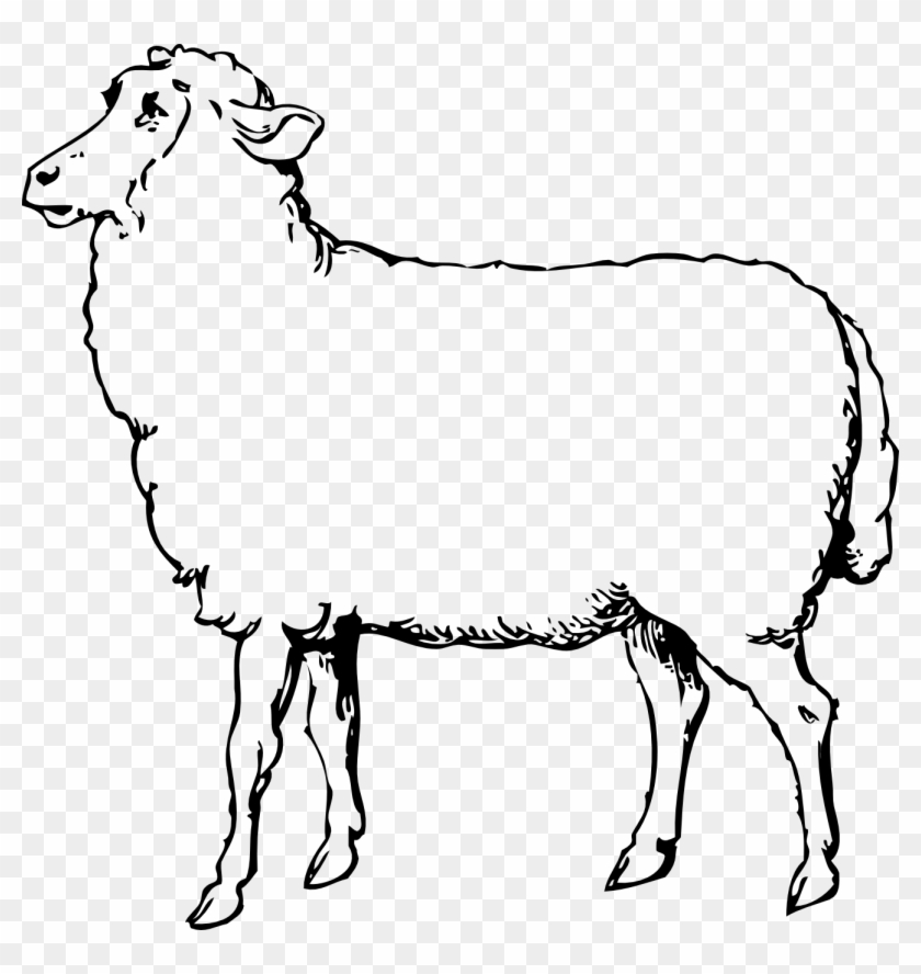 Clip Art Sheep Mask Clipart - Sheep Black And White #50170