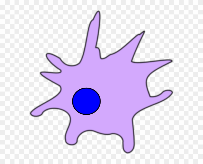 Dendritic Cell Clip Art At Clker - Dendritic Cell Clipart #50228