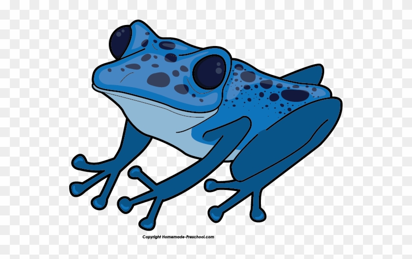 Free Frog Clipart - Poison Dart Frog Clipart #50385