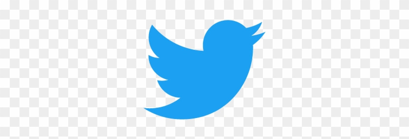 The - Twitter Logo Transparent #50804