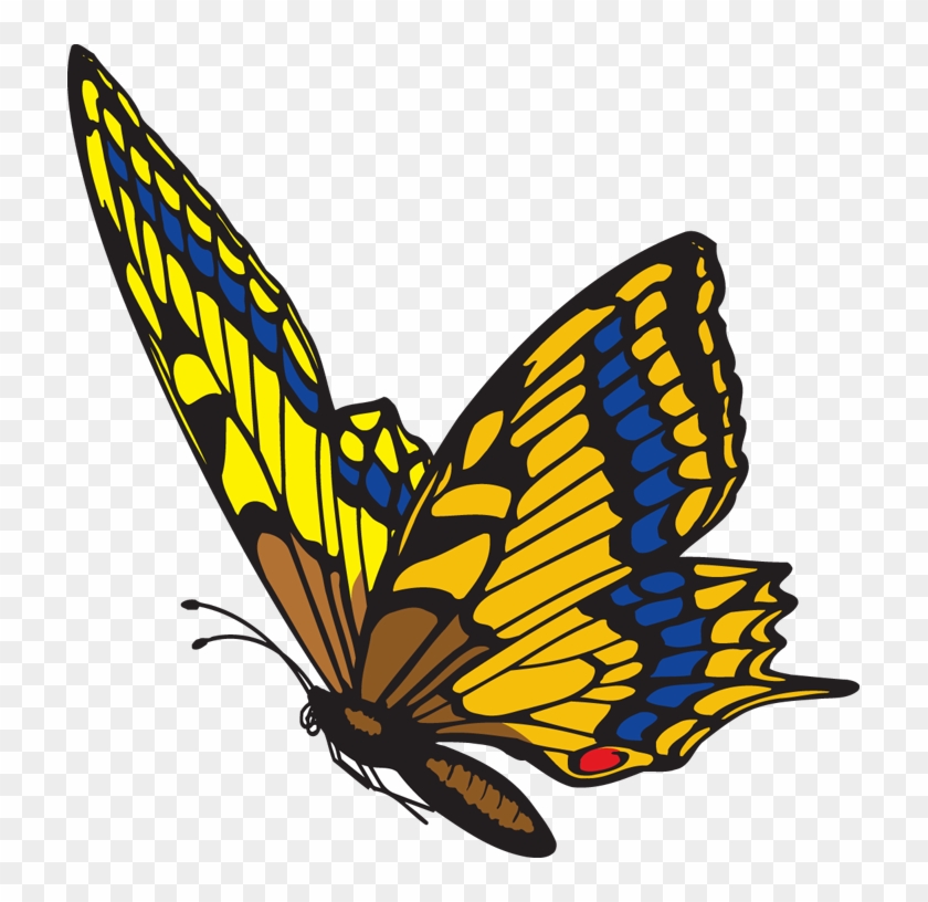 Flying Butterfly Clipart Image​