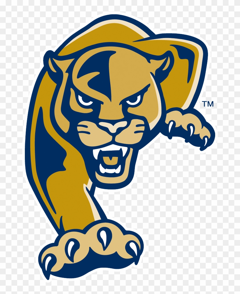 The Florida International University Landing Page From - Fiu Golden Panthers #50970