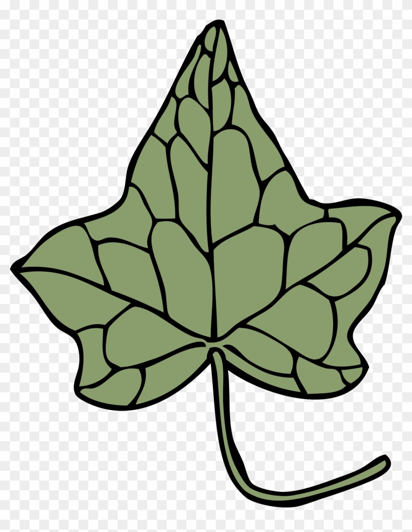 Big Image - Ivy Leaf Clip Art #51047