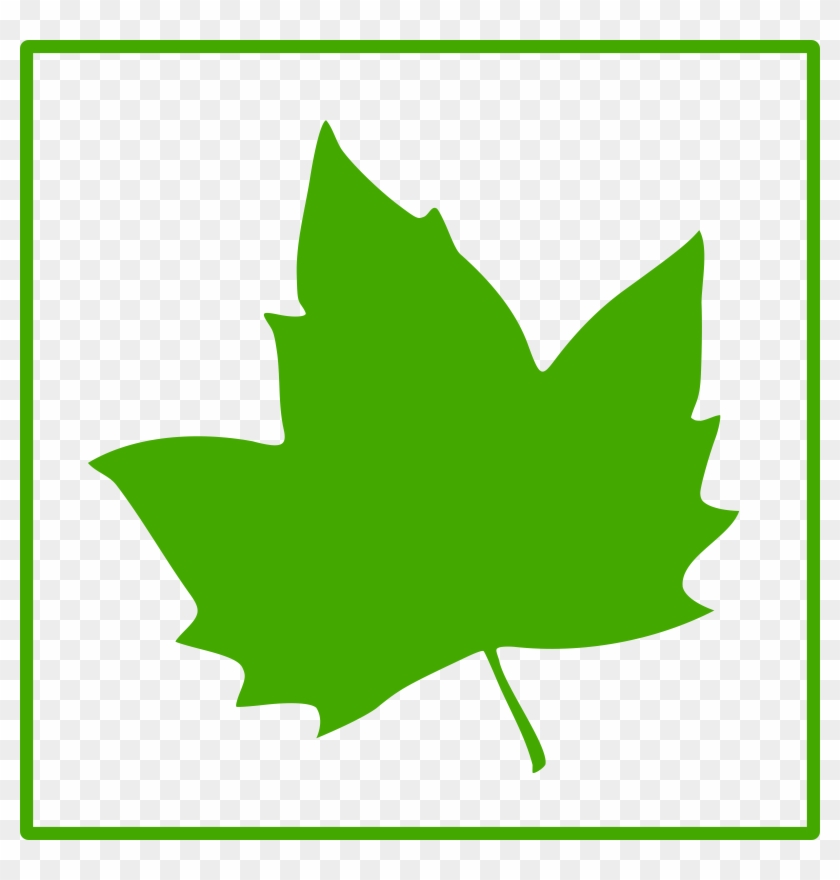 Green Leaf Icon Clip Art At Clker - Green Maple Leaf Icon #51064