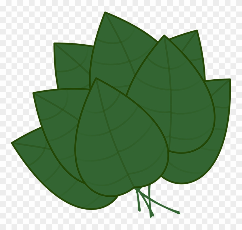 Basil Leaf Clip Art #51149