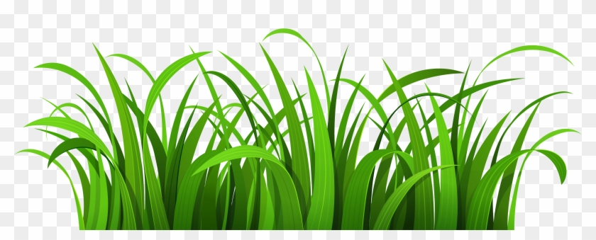 Blog Clip Art - Grass Clipart #51433