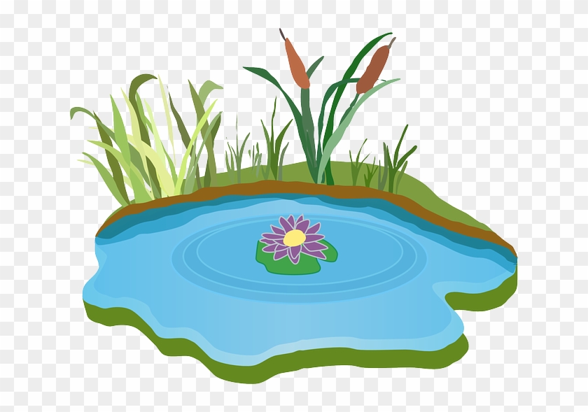 Pond, Water, Outdoor, Grass - Pond Clipart #51555