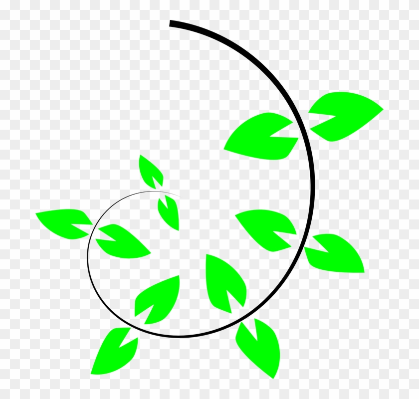 Vine Clipart Climber Plant - Climbing Plant Vector #51635