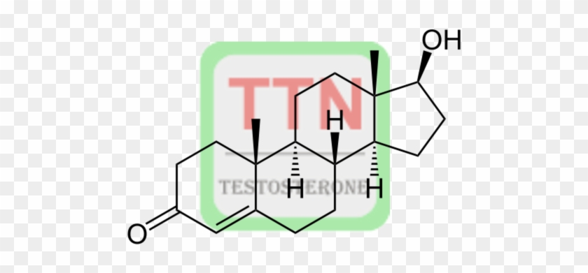 Testosterone Conjugate - Testosterone Molecule Throw Blanket #51658