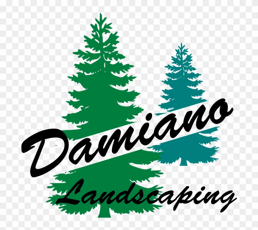 Damiano Landscaping - Lawn Maintenance - Google - Pine Tree Silhouette #51666