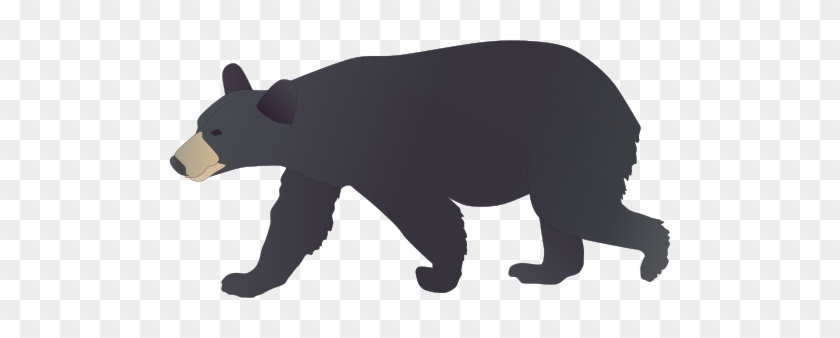 Black Bear Illustration Of Ursus Americanus American - Black Bear Vector Art #51839