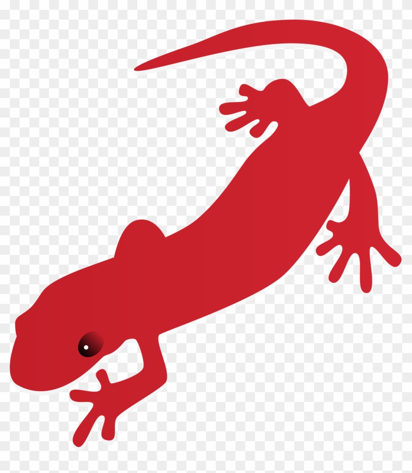 Salamander Clipart Drawing - Salamander Clip Art #51849