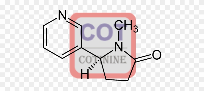 Cotinine-4 Conjugate - Synthesis Of M Nitrobenzoic Acid #51866