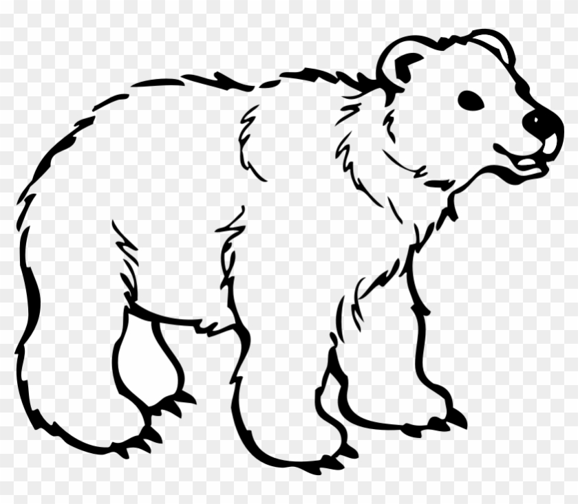 Black Bear Cartoon Free Download Clip Art Free Clip - Polar Bear Black And White #51901