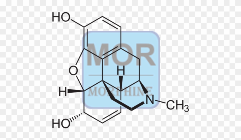 Morphine Conjugate - Structure Of Codeine #51981