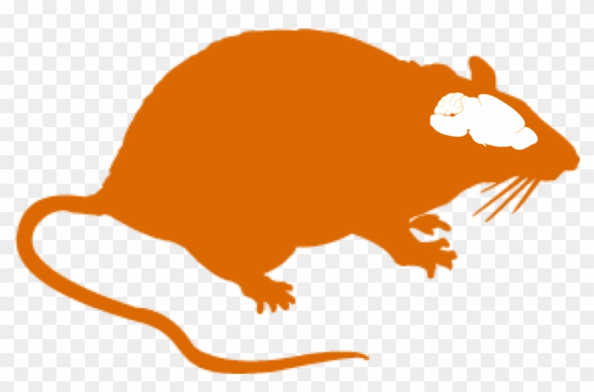 Rat Brain Clipart - Got Rat? Throw Blanket #52048