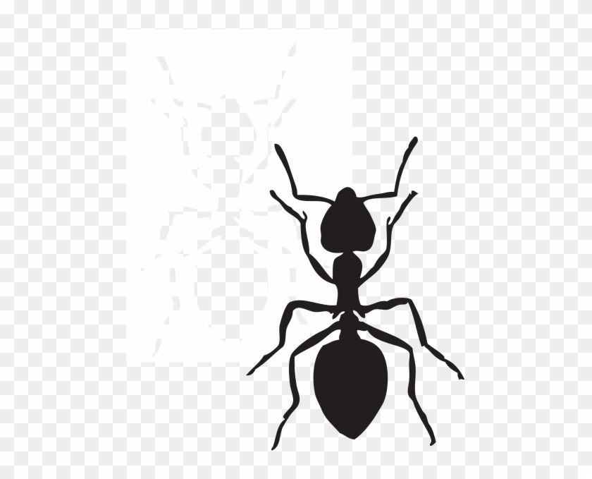 Custom Black Ant Shower Curtain #52141