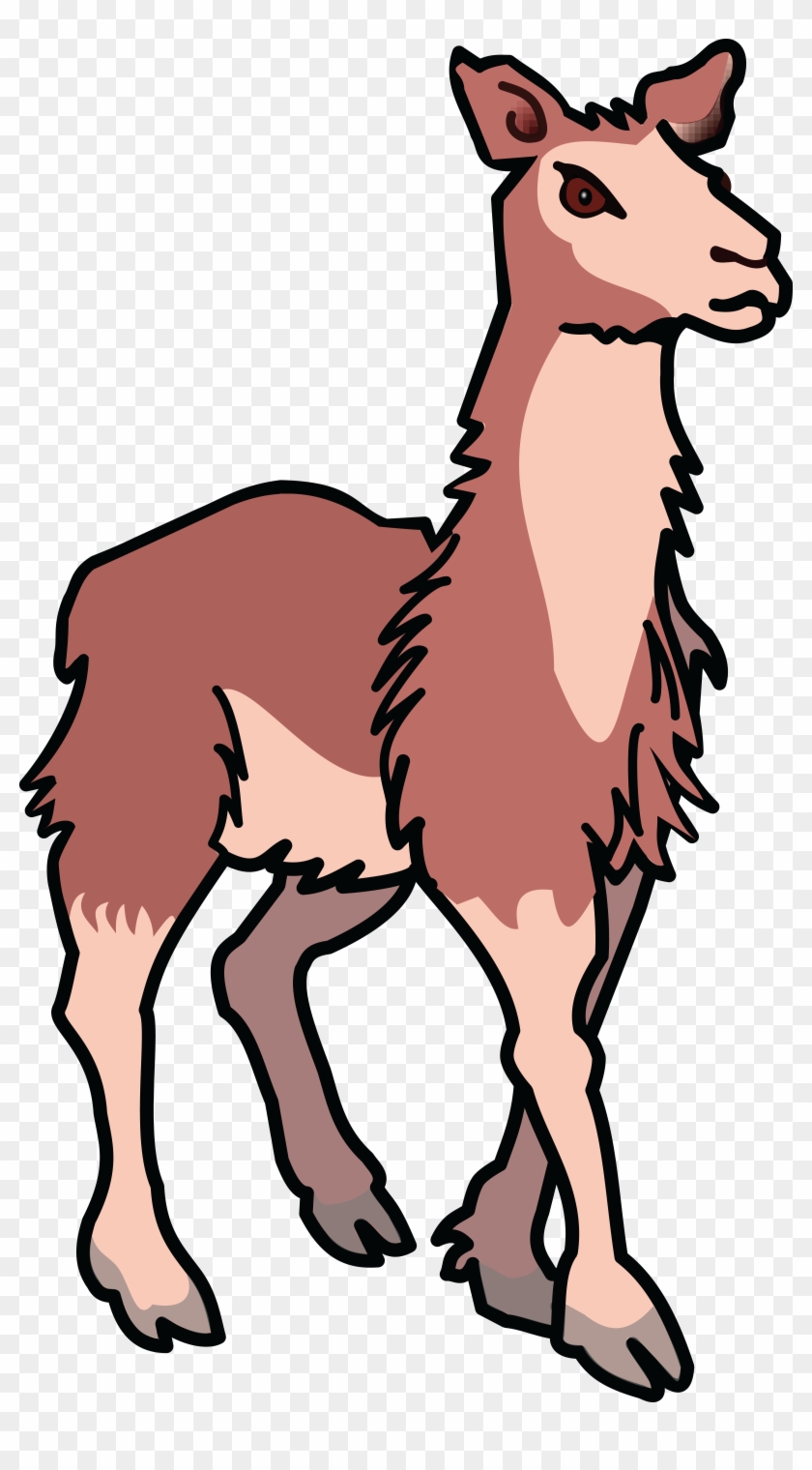 Free Clipart Of A Llama - Clip Art Lama #52326