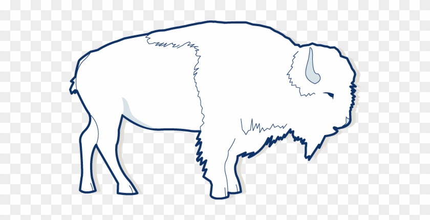 Bison/buffalo - Bison #52634