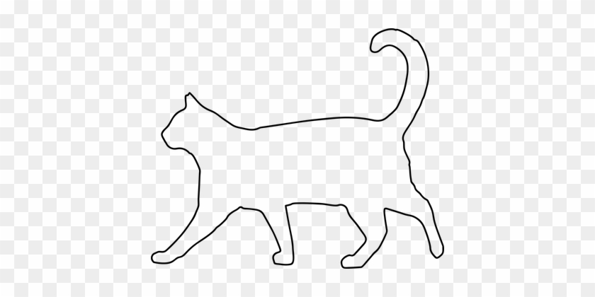 Outline Animals Printable - Cat #52644