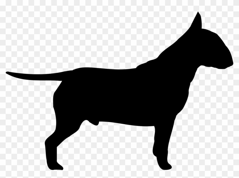 Dog - Bull Terrier #52806