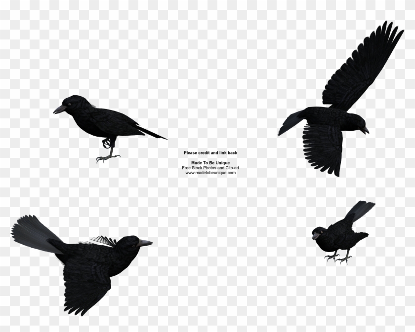 Raven Clip Art - Raven Clipart Free #52862