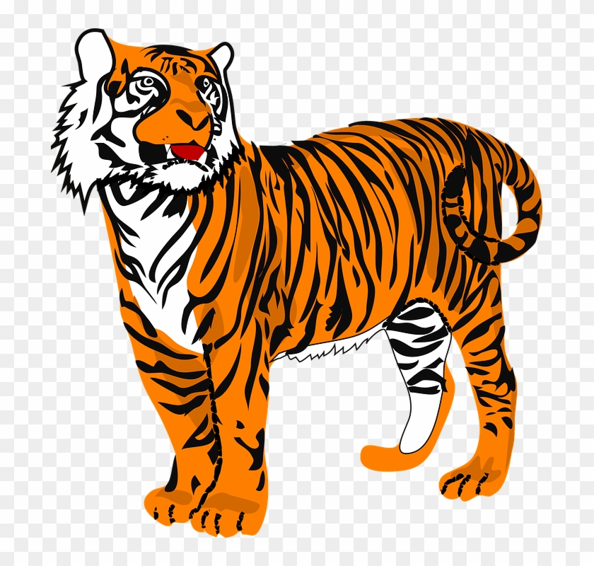 Tiger Clipart #270967