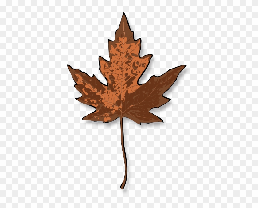 Brown Leaf Clip Art - Maple Leaf Clip Art #271144