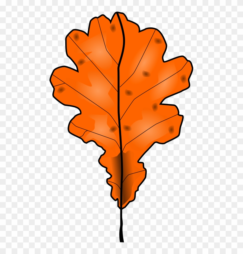 Similar Clip Art - Orange Leaf Clip Art #271152