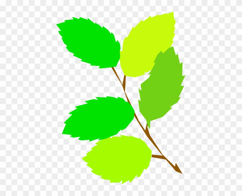 Branch With 5 Leaves Clipart #271172
